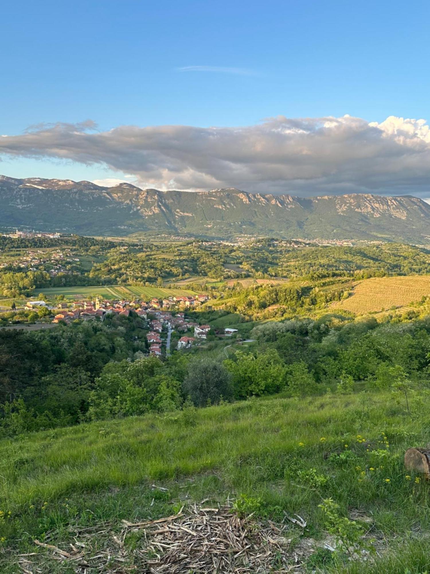 Apartma Anze Samec Dobravlje Экстерьер фото